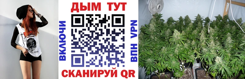 Канабис Bruce Banner  Купить закладки  Донецк 